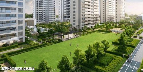 宁波绿城小区最新爆料,揭秘神秘事件背后的真相